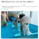 후히