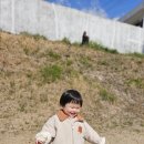 꼬마화가어린이집 이미지