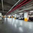 CATS&ME(캣츠 앤 미) 이미지