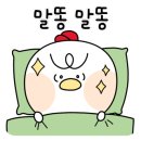 쪼당 네이버블로그