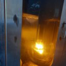 강아지 펫 헤븐 이미지