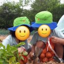 풍덕고택 이미지