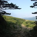 (주)대관령식품 이미지