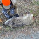 소청출장소 이미지