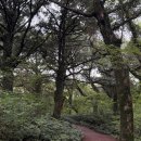 레츠그루 | Jeju 대자연편 : 실패없는.. 제주도 서쪽코스, 제주도 서쪽 가볼만한곳 김녕해변, 비자림, 성산일출봉...