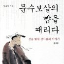 문수보살의 뺨을 때리다 - 선을 빛낸 선사들의 이야기 이미지