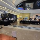 반딧불이 | 스타필드 하남 다흑이 반딧불이 체험 후기 (아이와 가기 좋음)