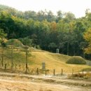 순흥안씨양도공파묘군 이미지