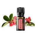 (주)윈터그린 이미지