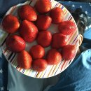 진성약손안마지압원 이미지