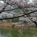 울산컨트리클럽 이미지