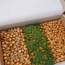 도봉-도봉-서울도봉-2334 이미지