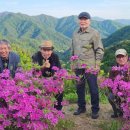 라라책방