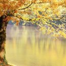 가을이네 이미지