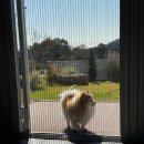 초지2626 이미지