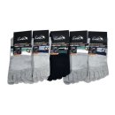 모던파마 이미지