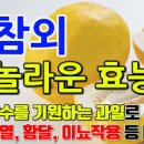 참외 효능 참외껍질 참외씨 설사 알레르기 부작용 이미지