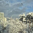팀크리스 - 의왕시 안양판교로 221 | 팀크리스