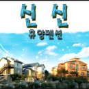 안덕면 신신펜션 이미지