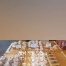 더마레 104 이미지