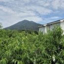 천은농장 이미지