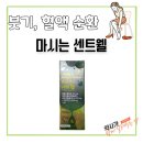 서면다정약국