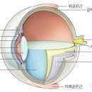모란동물병원 이미지
