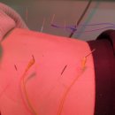 신동아경희한의원 이미지