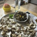 알파카 소풍 펜션 이미지