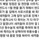 Re: 반드시 원수 갚아야 한다, 이주장이 어느 감언이설 간교한 솔깃한 경문 말씀보다 우월한 주장에 말씀 경문이다 이미지