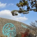 파크사우나 | 파라다이스 스파 도고 캐빈파크 : 디럭스 숙박 바베큐 워터파크 스파 사우나 이용 후기