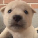 세상은 널 잃어 슬퍼할거야