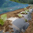 우복농장 이미지