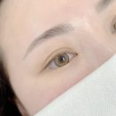 브라운 로 이미지