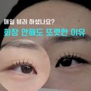 빈앤뷰티원주본점 속눈썹펌 후기