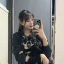 견국지색 이미지