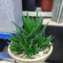 용산-427 이미지