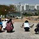 오리궁뎅이 이미지