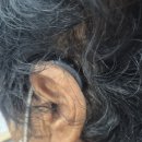 하신경로당 | 전주벨톤보청기, 🌿 80대 고객님의 유니트론 목시 착용 후기