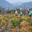 영암군청 이미지