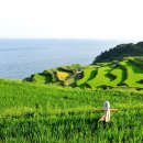 금수만당마을 이미지