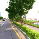 자유로농장 이미지