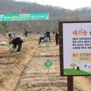 광명농장2 이미지