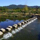 백운산 솔밭 앞 이미지