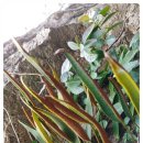 성산약수 이미지