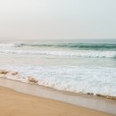 무등산 농원 이미지