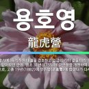 함께 알아보는 용어 : 용호영 (龍虎營) 우 (虞) 우간의대부 (右諫議大夫) (242) 이미지