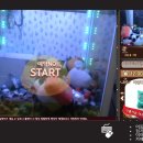 뽑기뽑기 이미지