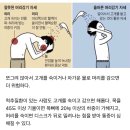 머리와사람들 Daum카페