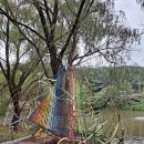 사유에 의한 유출 이미지